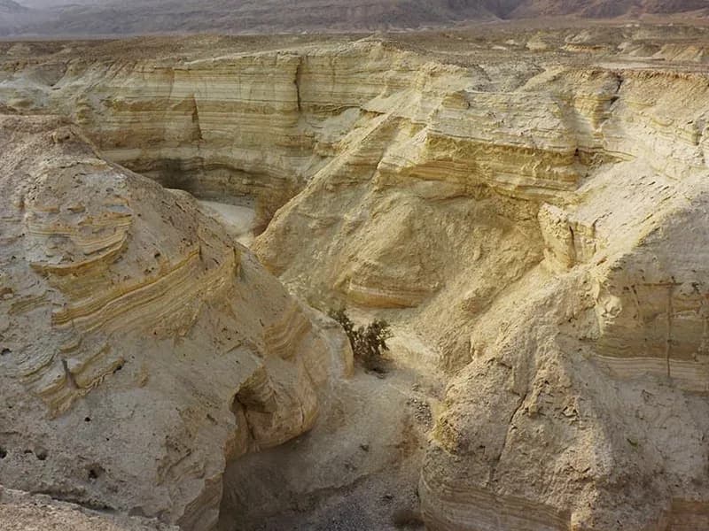מערות מדבר יהודה